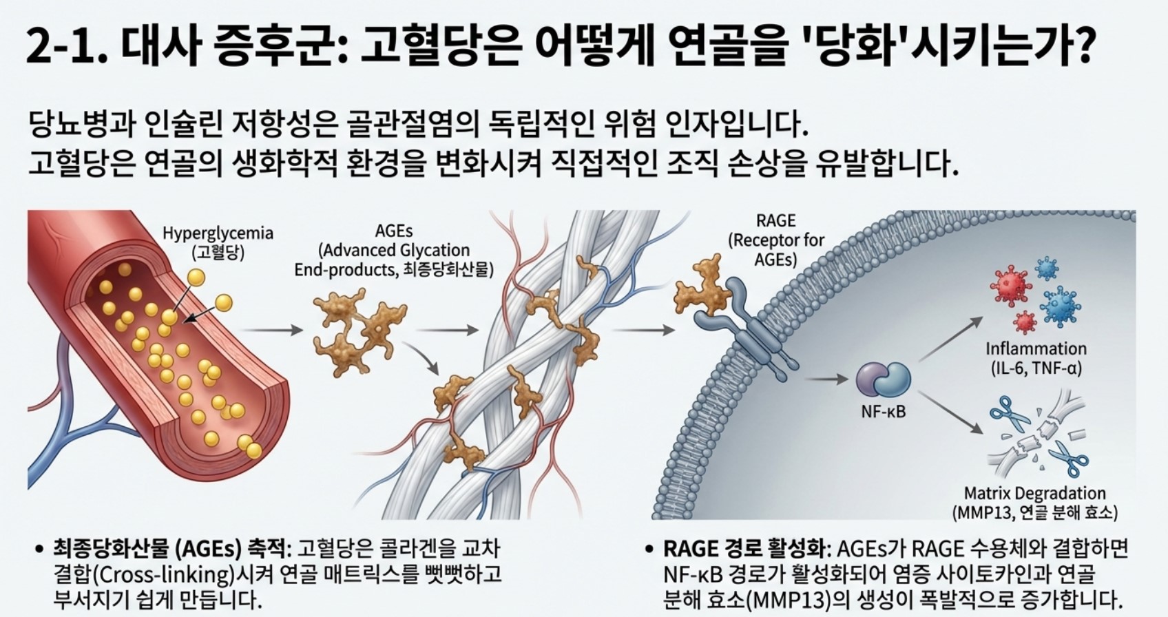 고혈당이 관절염을 유발하는 기전