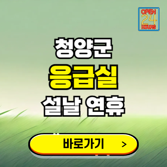 청양군 설날 연휴 비상진료 응급실 병원 찾기 ❘ 내근처 24시 야간 심야 휴일 가능한 곳