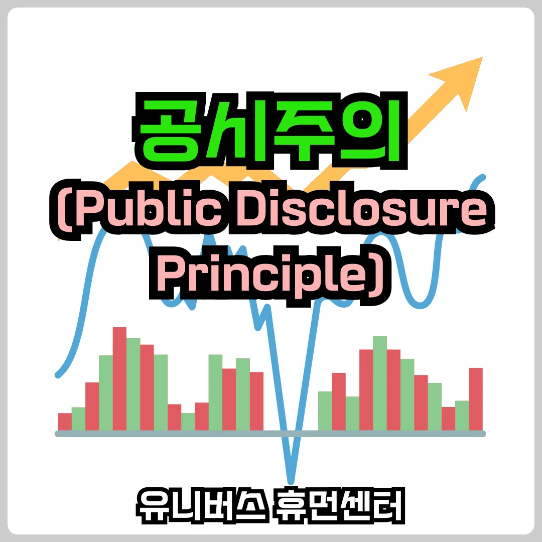 공시주의 (Public Disclosure Principle)
