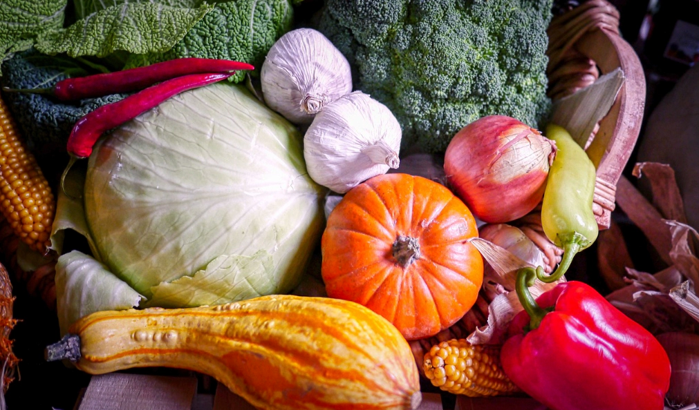 췌장암-좋은-음식