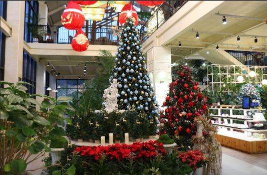 예쁜 크리스마트 트리 있는 곳