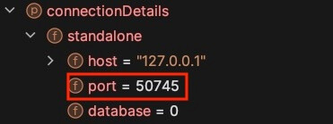 ConnectionDetails에 할당된 포트 정보
