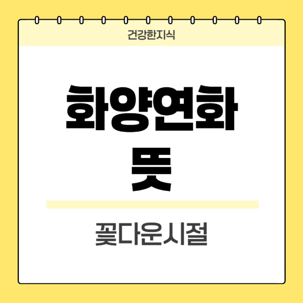 화양연화-뜻