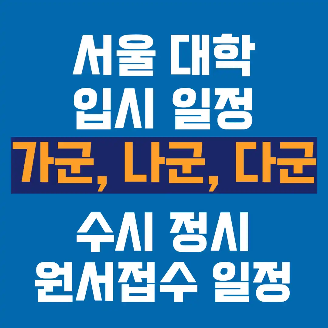 서울 주요 대학 입시 일정, 가군, 나군, 다군 수시 정시 원서접수