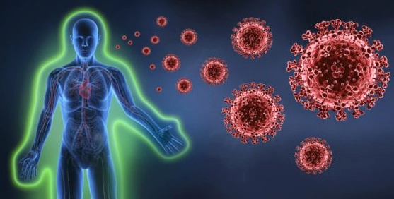 고양이 항원분해제