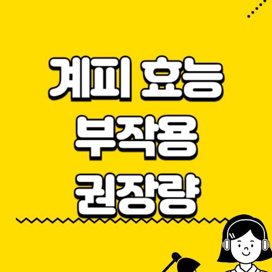 계피 효능 부작용