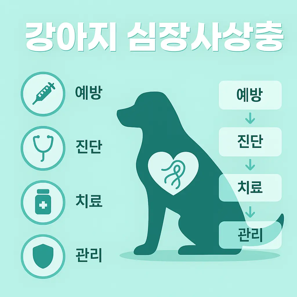 강아지 심장사상충
