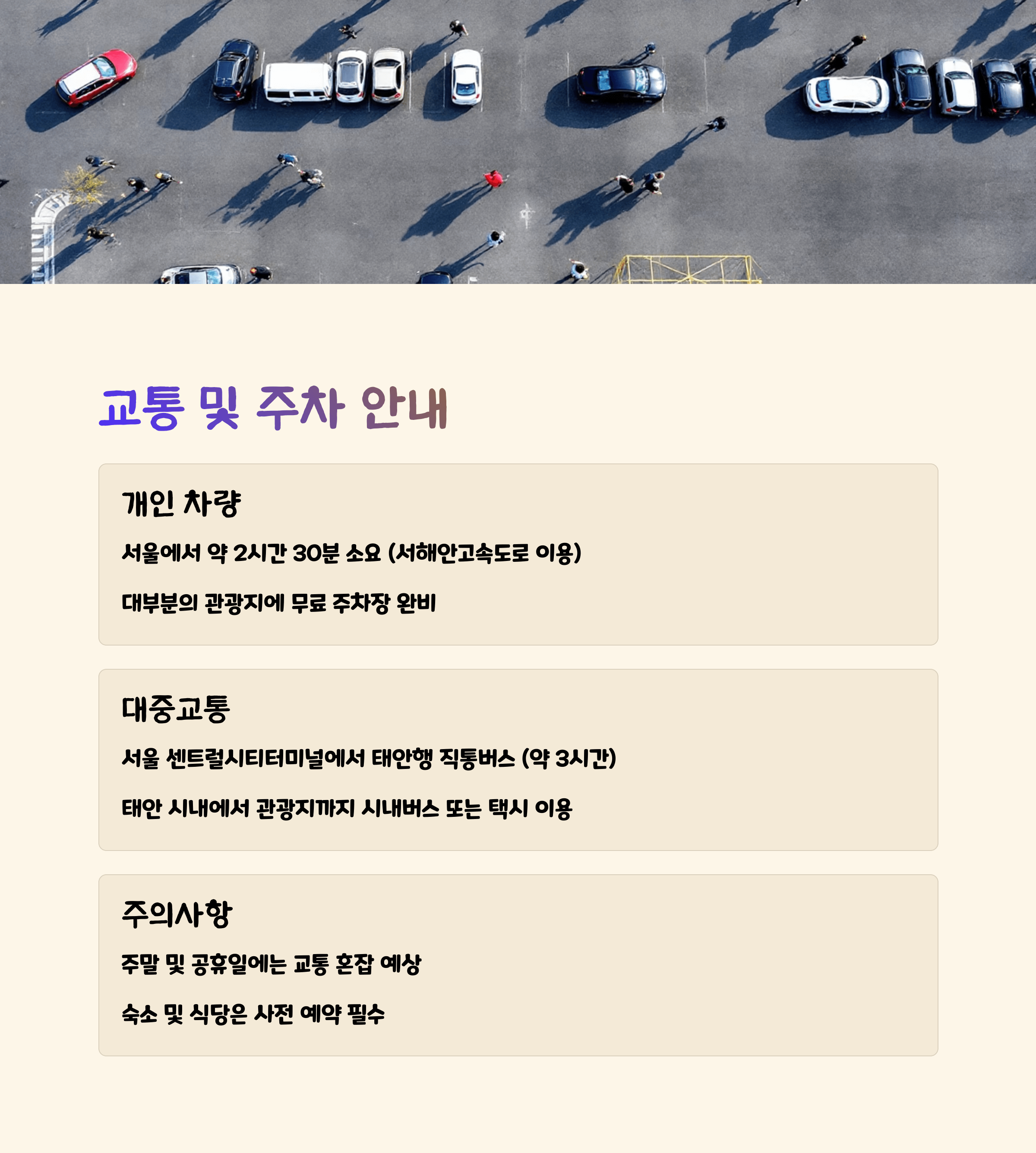 안면도 튤립 축제