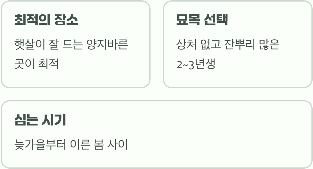 1. 첫 단추&amp;#44; 건강한 묘목과 햇살 가득한 자리