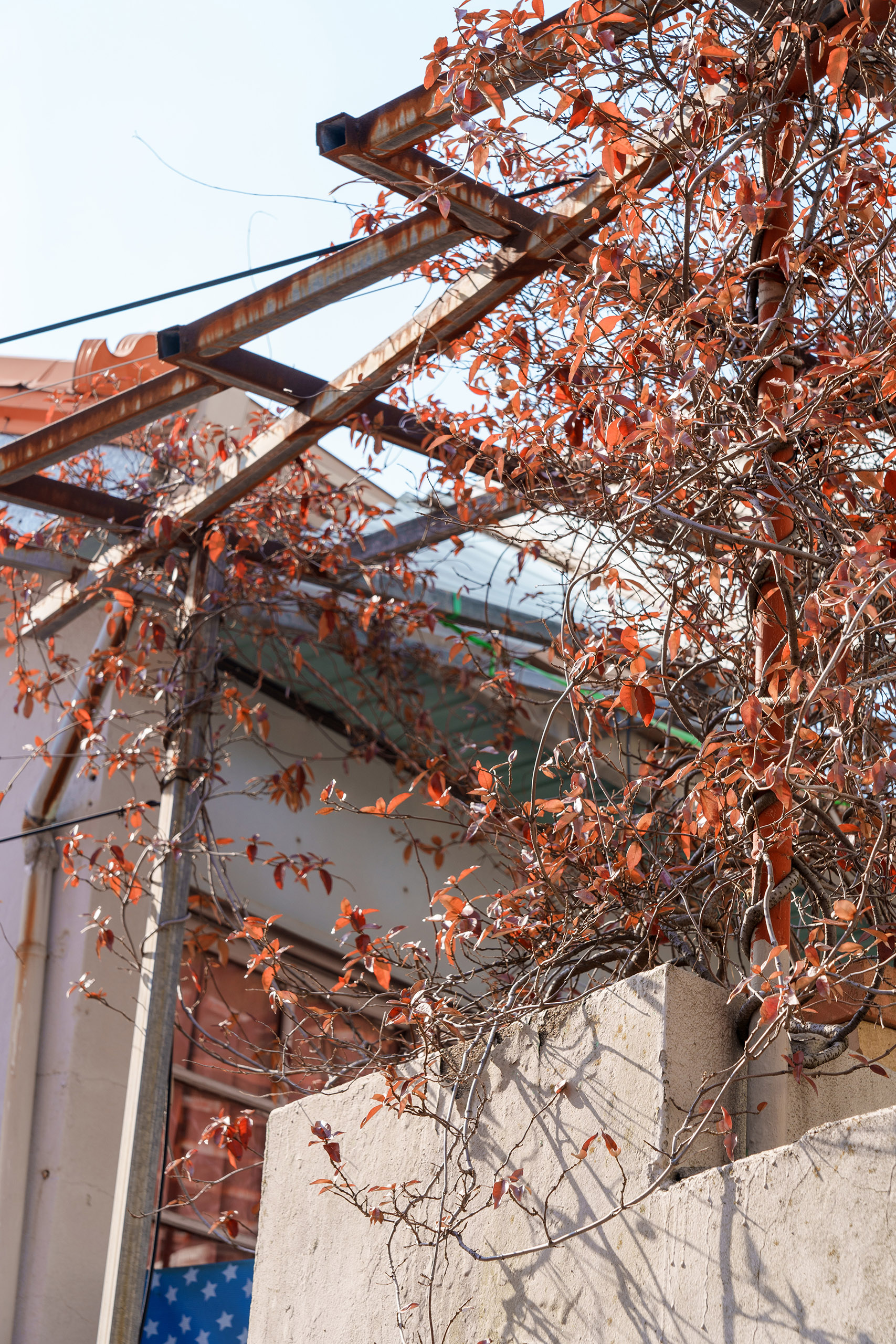 포항 구룡포 일본인 가옥거리