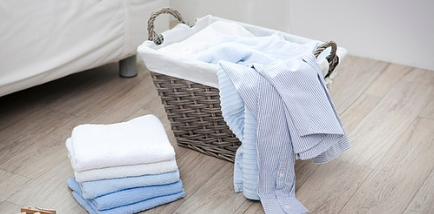 임산부-가사돌봄서비스