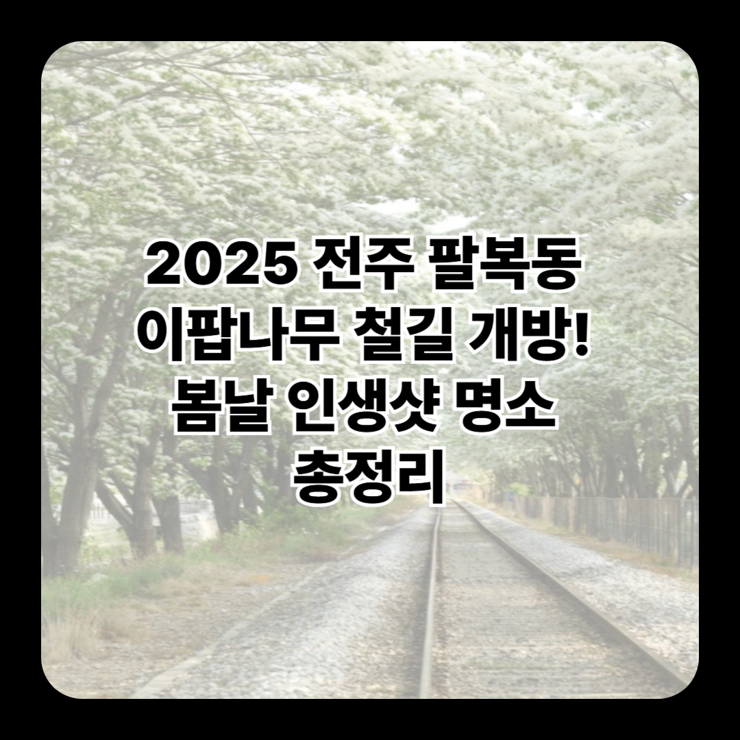 2025 전주 팔복동 이팝나무 철길 개방! 봄날 인생샷 명소 총정리🌿📸