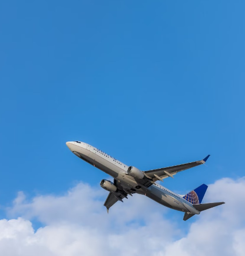 해외여행 준비물 체크리스트와 결격사유