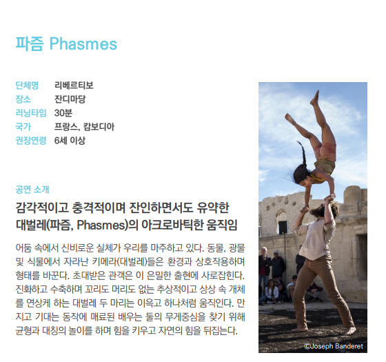 서울-서커스페스티벌