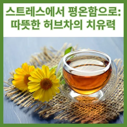 허브차