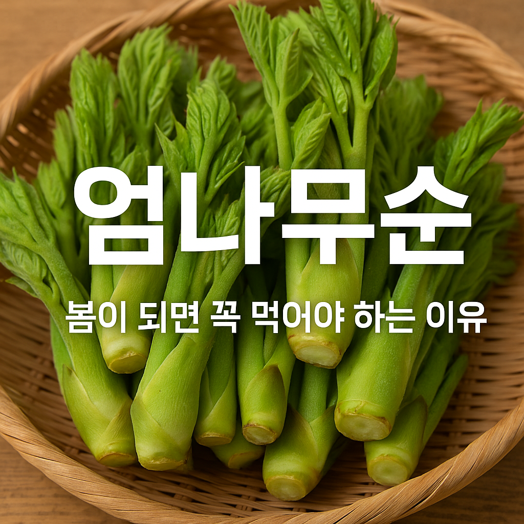 엄나무순 썸네일
