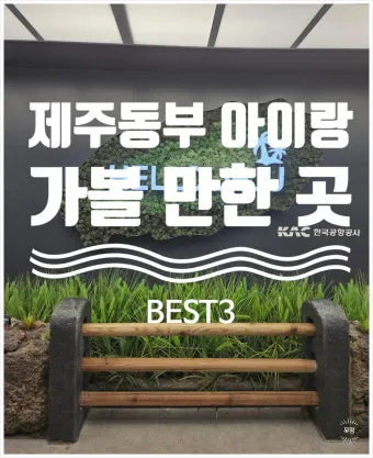 제주 아이와 함께 가기 좋은 체험형 여행지 추천_9