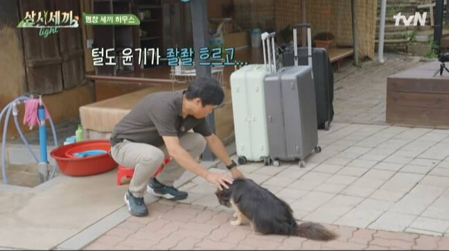 삼시세끼 임영웅 다시보기 방송시간_tvN출처