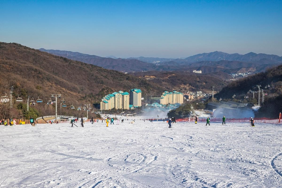 2025-2026 곤지암 리조트 스키장 시즌권 렌탈 할인 완벽 가이드