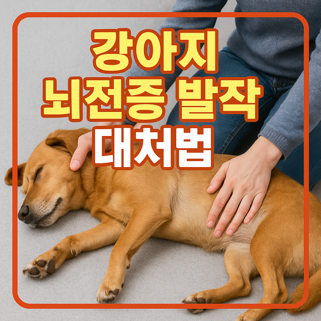 강아지 뇌전증 발작 대처법