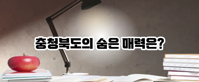 충청북도 가볼만한곳 베스트10 여행지 총정리
