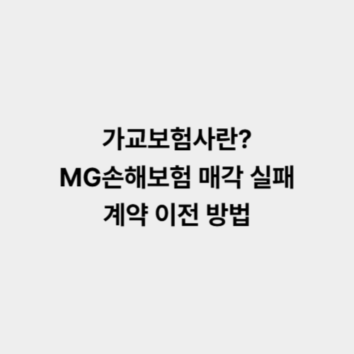 가교보험사란? MG손해보험 매각 실패 계약 이전 방법