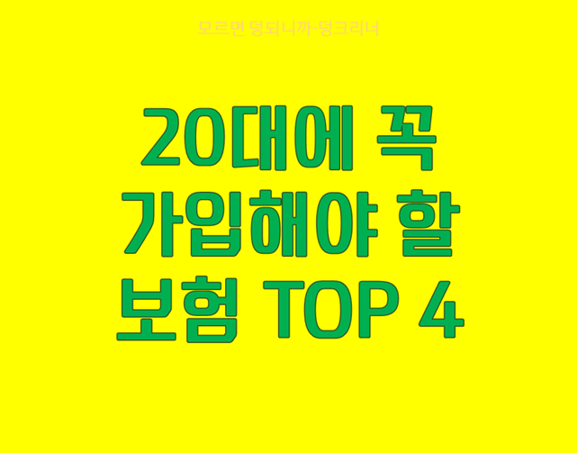 20대 필수 보험