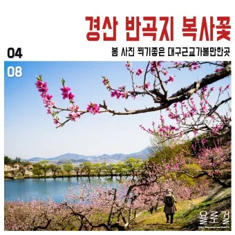 경산 가볼만한곳 베스트10 현지인 추천 필수코스_32
