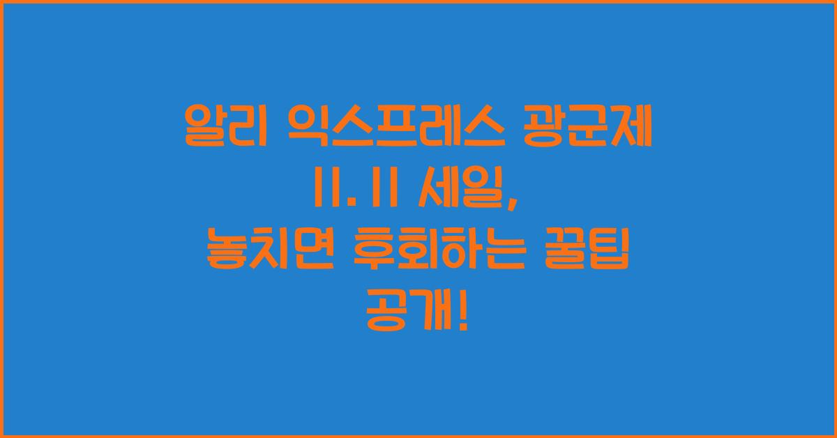 알리 익스프레스 광군제 11.11 세일