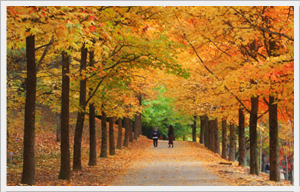 진주반성수목원