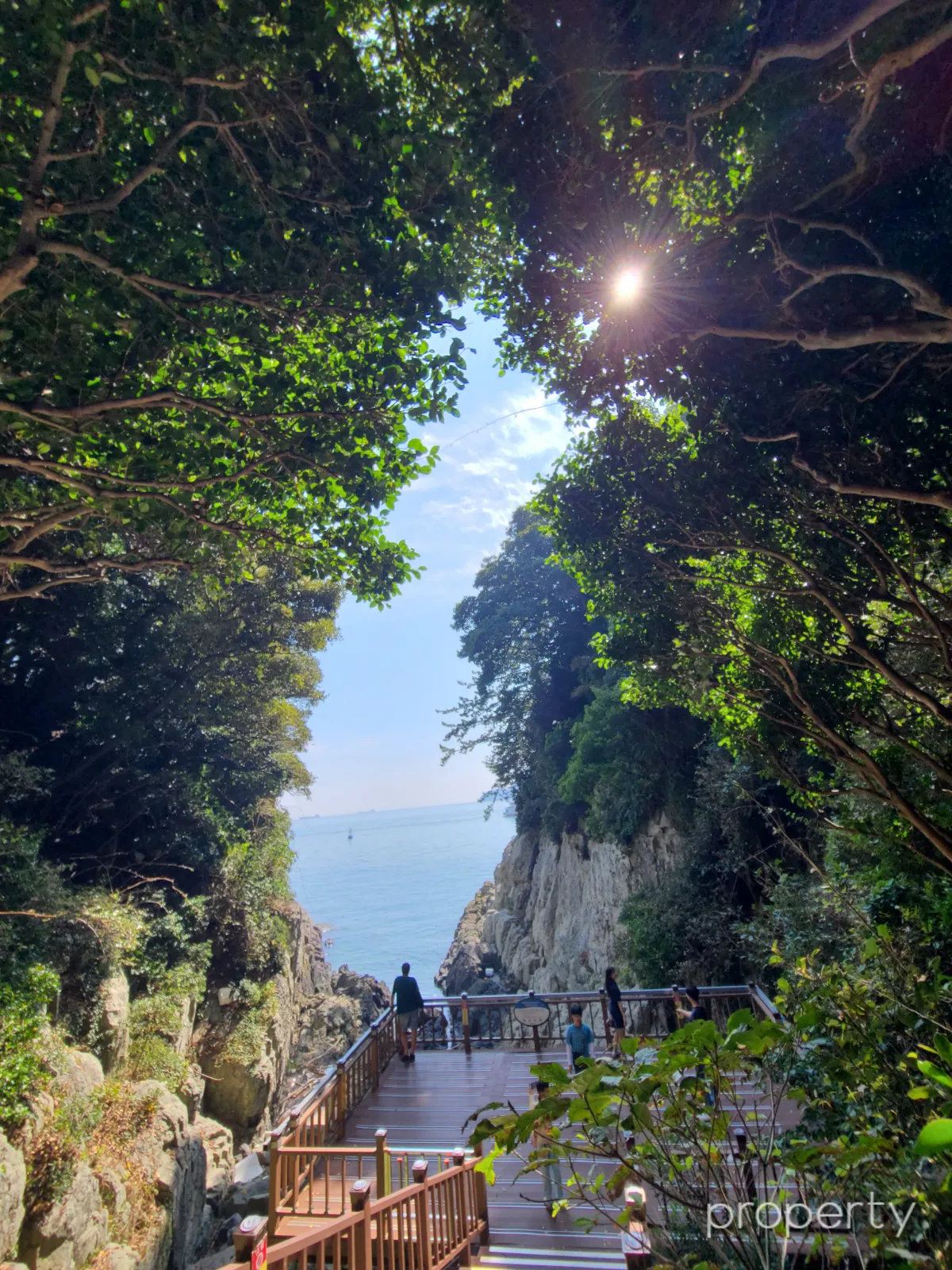 초록색-나뭇잎-사이로-햇살이-빛치는-한반도지도모양-사이로-바다가-보이는-나무데크위에-사람들-계단