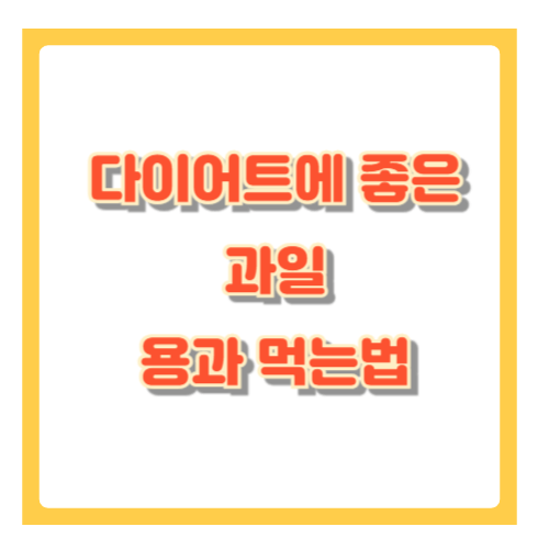 용과 먹는법, 손질부터 보관까지 한눈에 정리