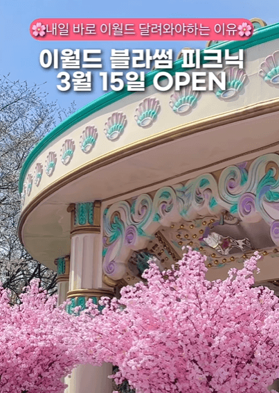 이월드 블로섬 피크닉 사진