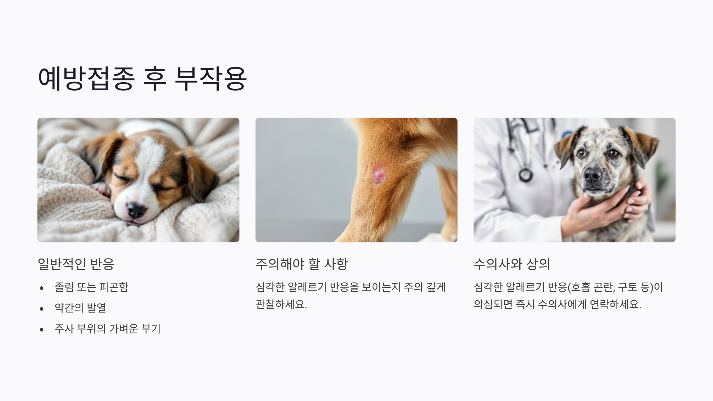 예방접종 후 부작용