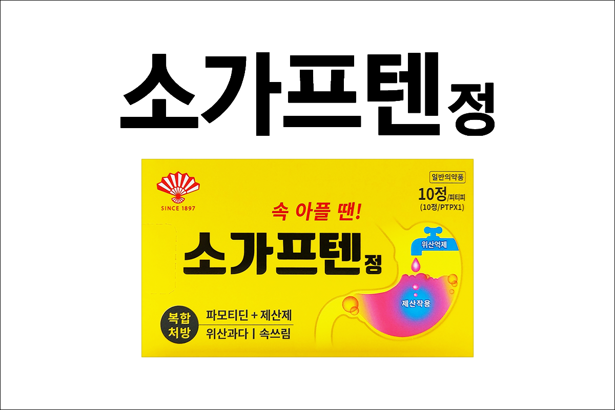 소가프텐정(SOGAFTEN Tab.