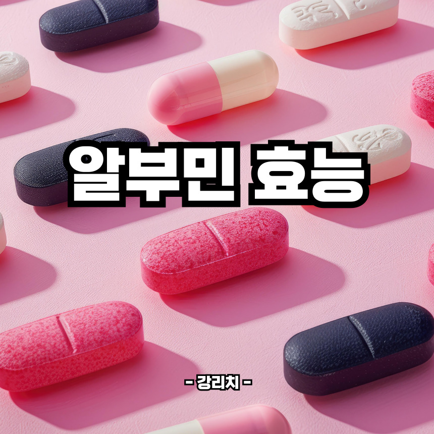 알부민 효능