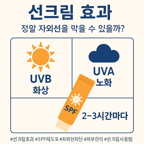 선크림 효과와 재도포 주기