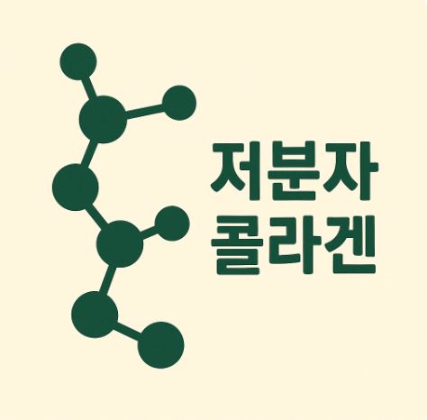 저분자 콜라겐의 종류와 기능 차이 관련 사진