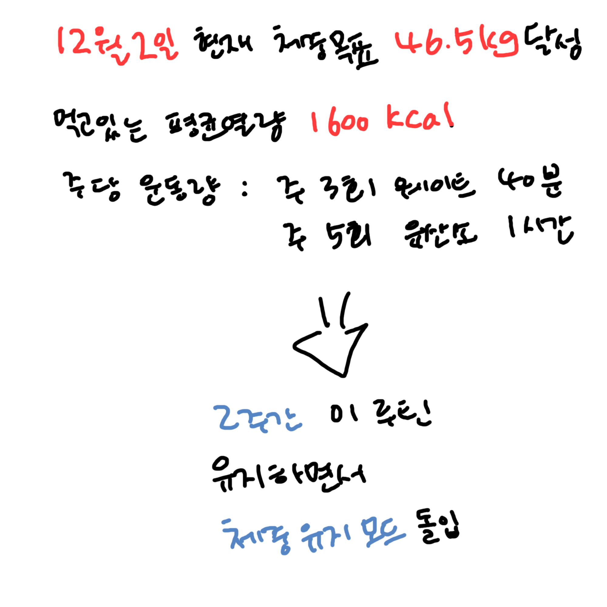 나의 체중유지 계획서