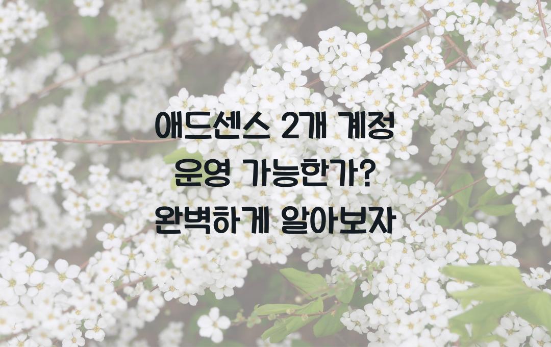 애드센스 2개 계정 운영 가능한가? (구글 정책 완벽 정리)