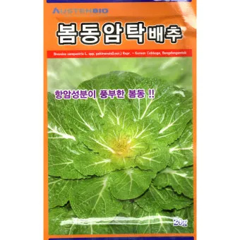 봄동 재배 파종시기 노지 월동 보온 피복 웃거름 타이밍_7