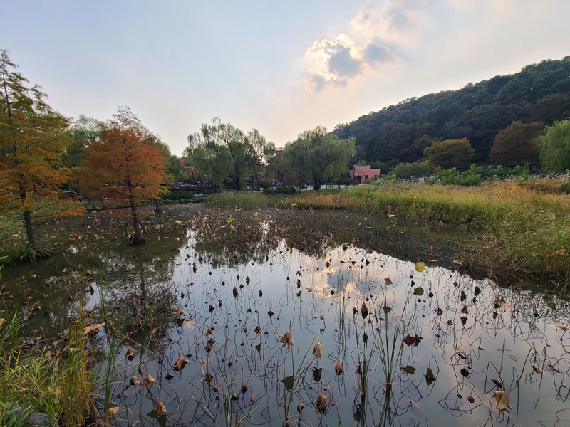 공원-호수