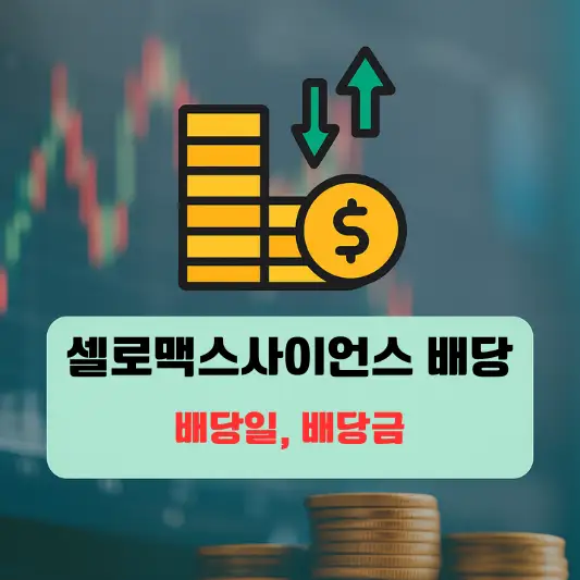 회사 개요
