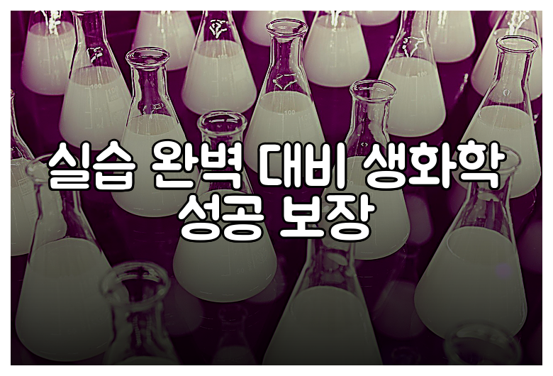 실습 완벽 대비 생화학 성공 보장