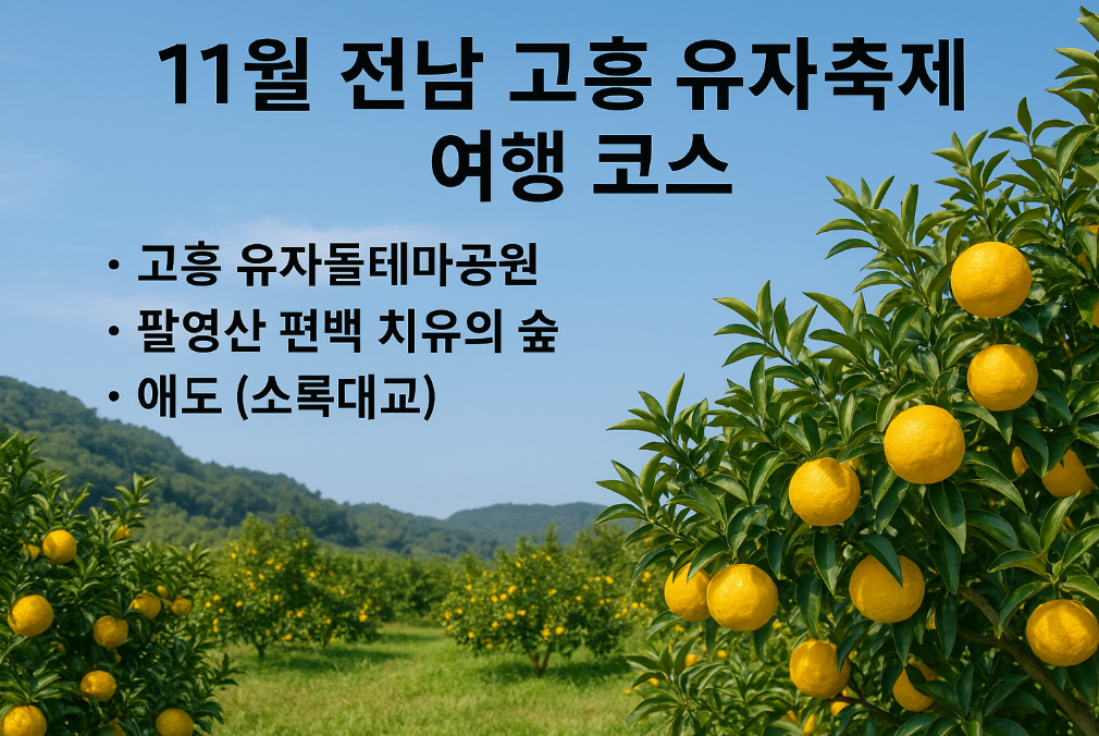 11월 고흥 유자축제 완벽 여행코스 3일 총정리