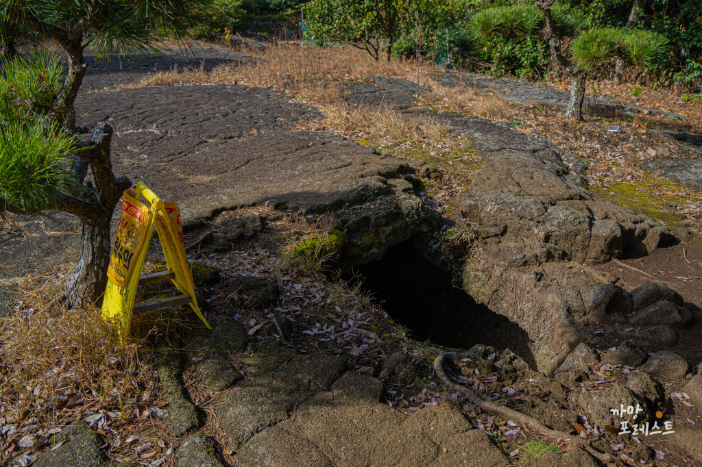 비케이브 포토존