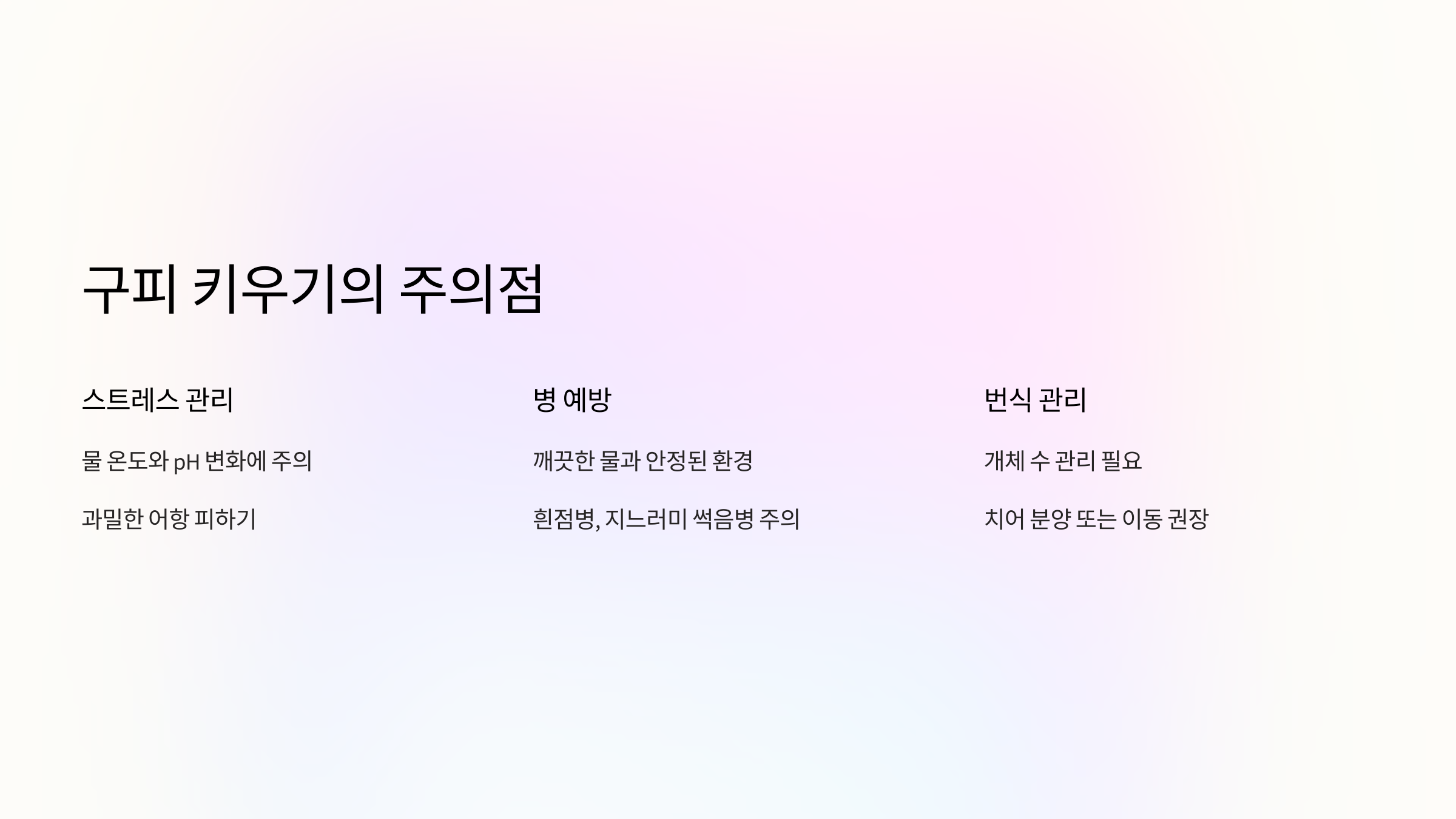 구피 사진입니다.