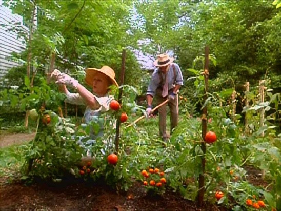 드라이빙 미스 데이지의 한 장면