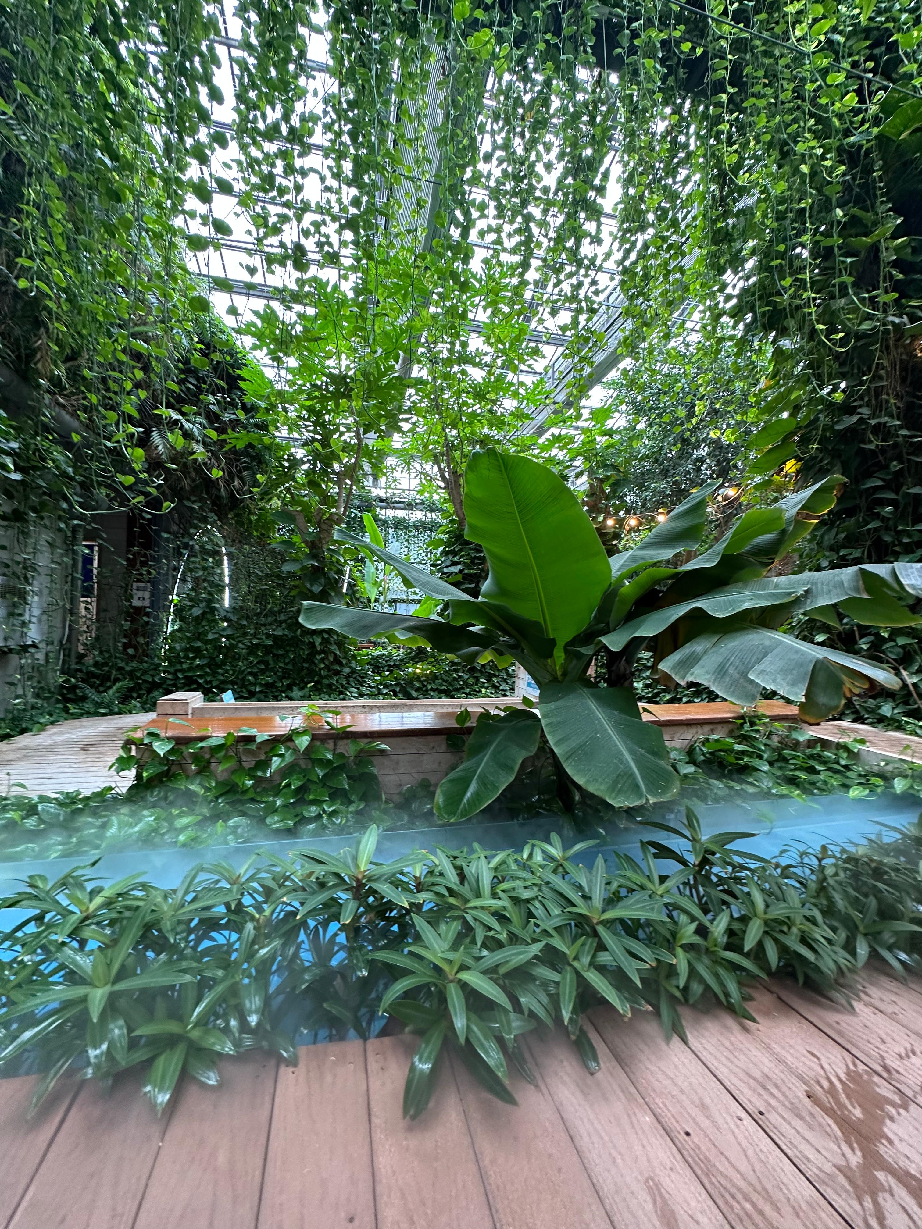 양평 미리내 카라반 힐빙클럽 패키지 후기