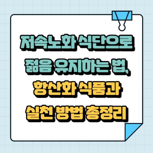 저속노화 식단으로 젊음 유지하는 법, 항산화 식품과 실천 방법 총정리